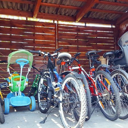 Camping Nr 61 Elblag Esterno foto